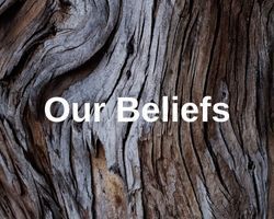 Click here for link to what we believe page